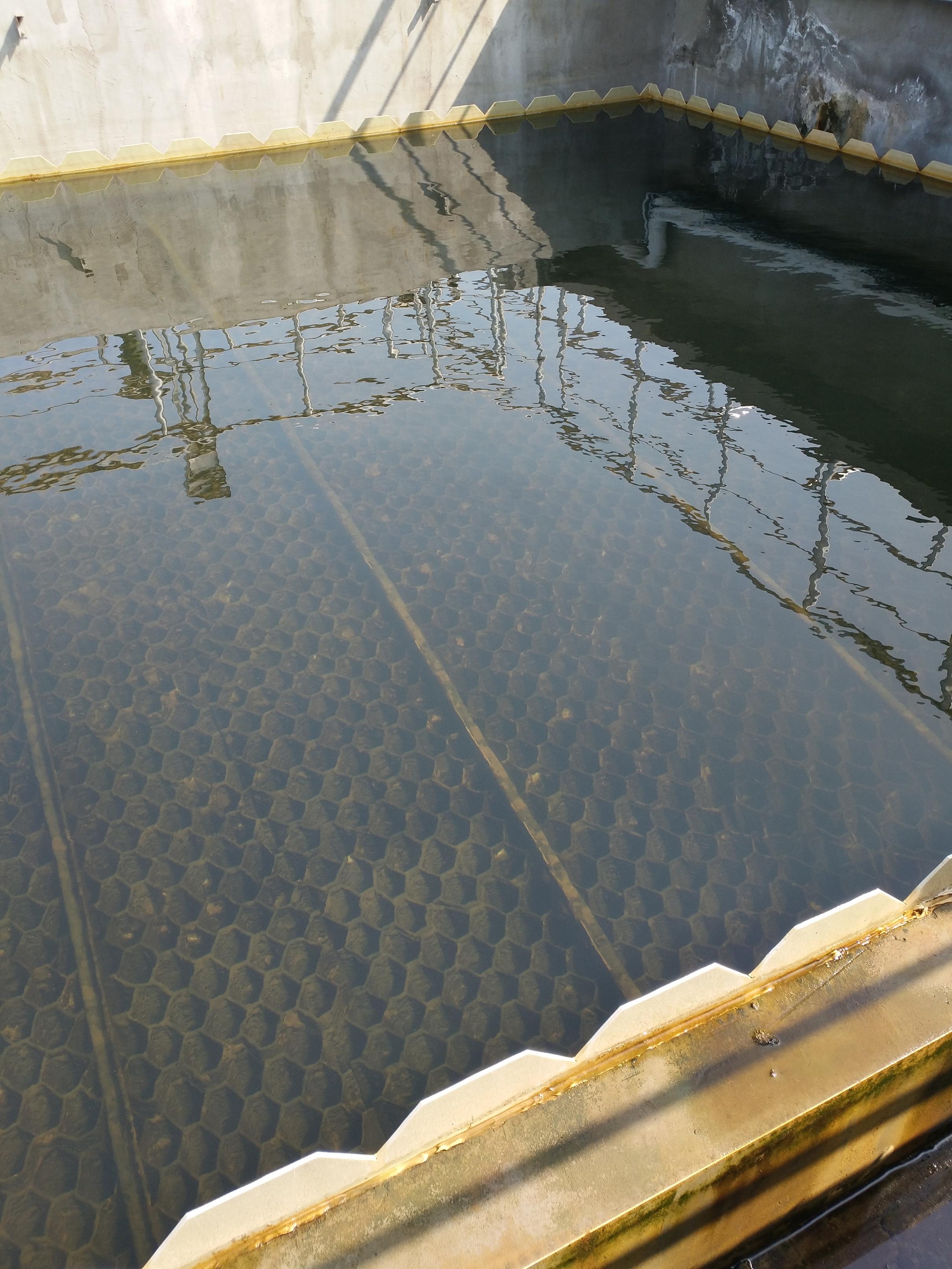 山東(dong)聊城阿(a)華製藥股份有(you)限公司