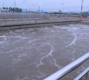 菌(jun)種(zhong)銷售(shou)