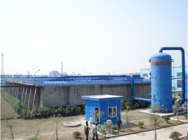 青島(dao)啤酒(jiu)（漳州(zhou)）有(you)限(xian)公(gong)司