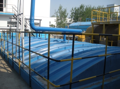 青(qing)島(dao)啤酒(jiu)（三水）有(you)限(xian)公司