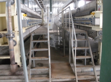 山(shan)東百盛生(sheng)物(wu)科(ke)技有(you)限(xian)公(gong)司