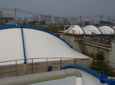 青(qing)島啤酒(jiu)（滕州(zhou)）有(you)限公司