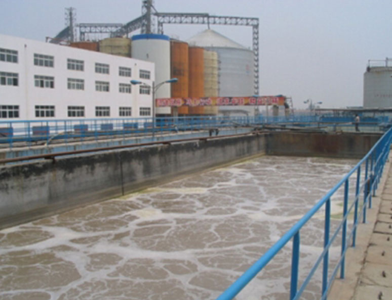 山(shan)東(dong)西王集(ji)糰(tuan)有(you)限(xian)公(gong)司