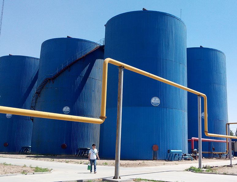 山(shan)東龍力(li)生(sheng)物科技(ji)股(gu)份(fen)有限公(gong)司(si)