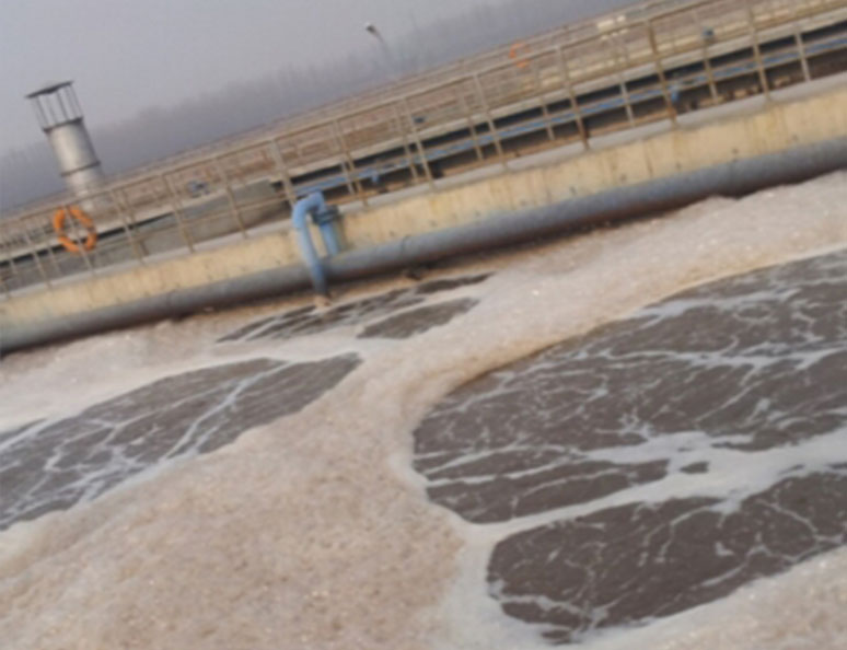 山(shan)東潔晶(jing)集(ji)糰股(gu)份(fen)有限公司(si)