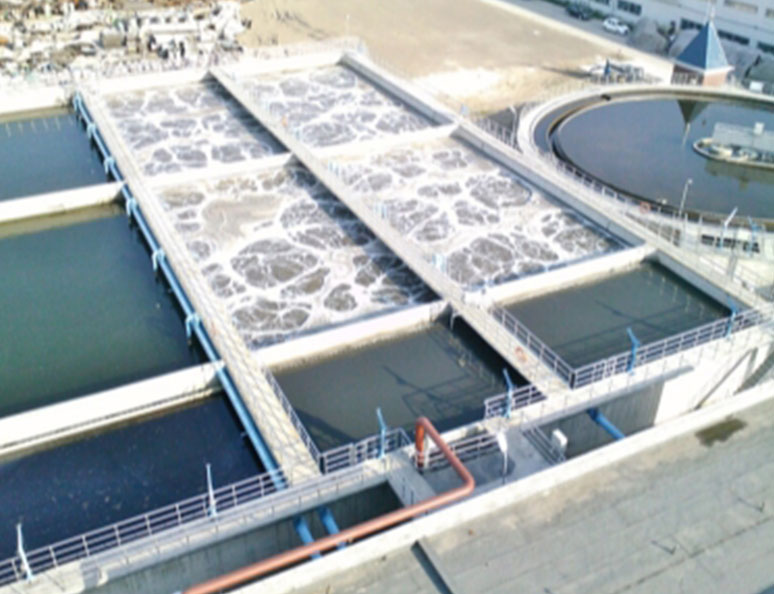 滙勝(sheng)集(ji)糰(tuan)股份(fen)有(you)限公司