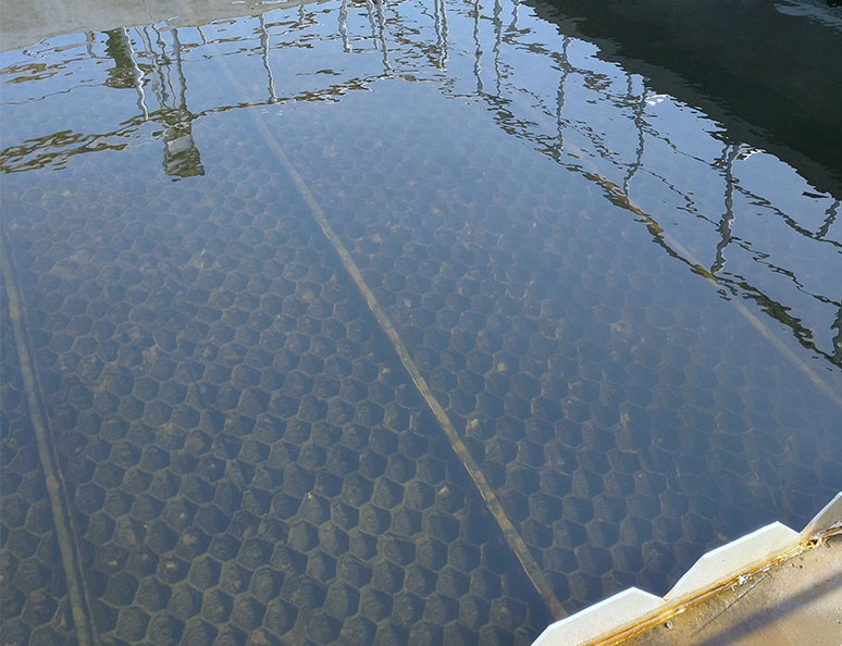 山東(dong)聊城阿華(hua)製(zhi)藥股份(fen)有(you)限(xian)公(gong)司(si)